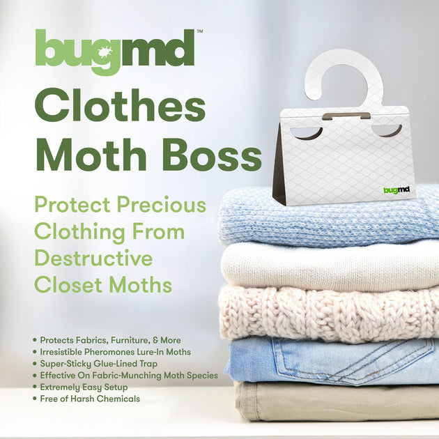 Louie Clothes Moth Traps with Pheromones and Free Cedar Blocks Moth Repellent - Moth Traps for Clothes - Clothing Moth Traps with Pher
