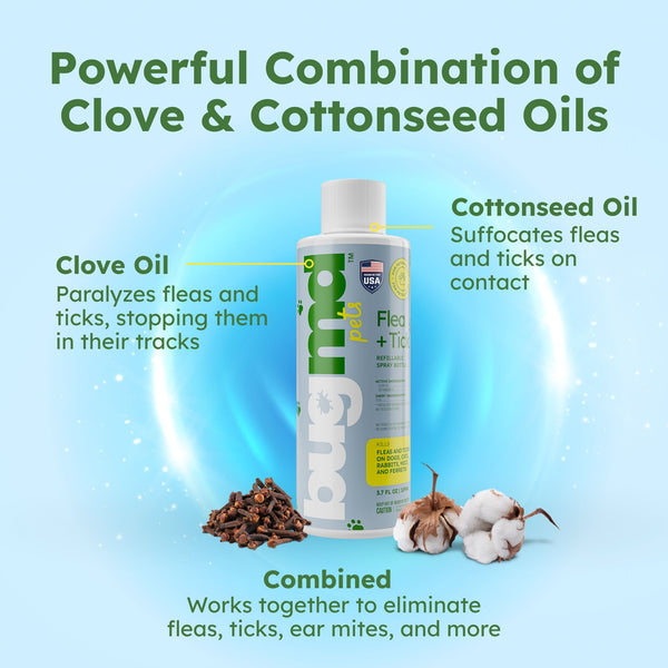 Flea and Tick Concentrate