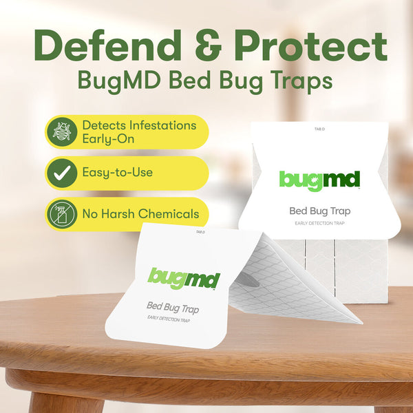 The Bed Bug Traps