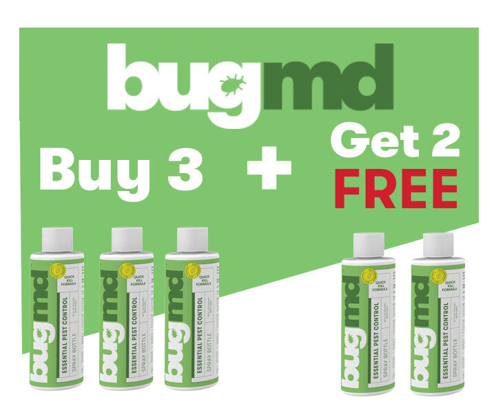 BugMD - Essential Pest Concentrate – bugmd