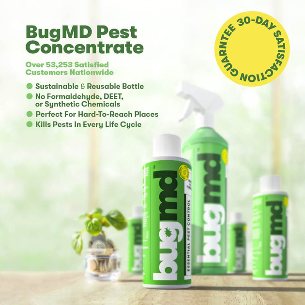 BugMD - Pest Control Essential Oil Concentrate 3.7 oz - Plant Powered Bug Spray, Kills Bugs Spiders Fleas Ticks Roaches, Ant Spray Indoor, Ant Killer