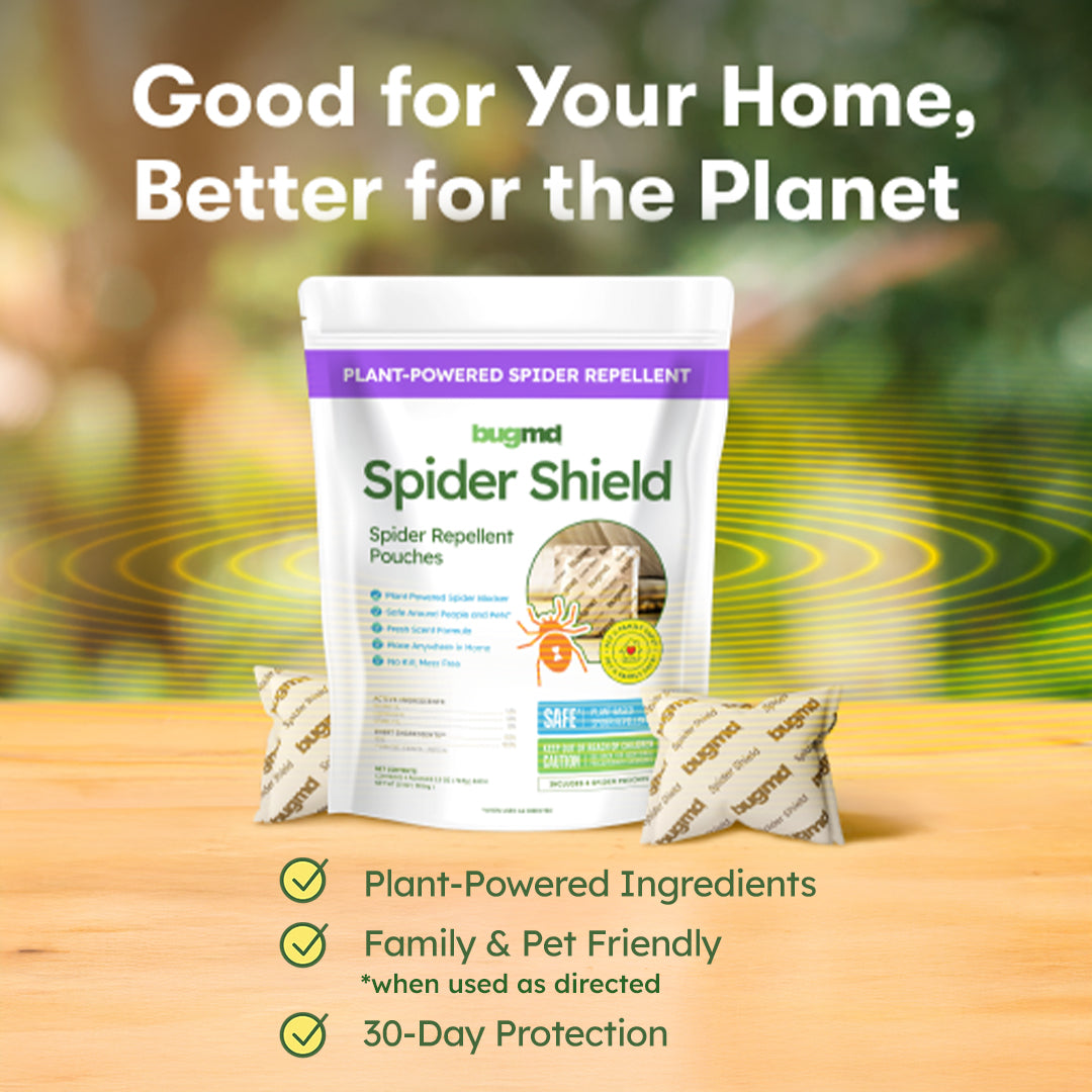 plant safe spider killer Spider Shield 8 Packs of Spider Shield
