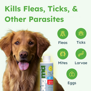BugMD Flea + Tick Concentrate