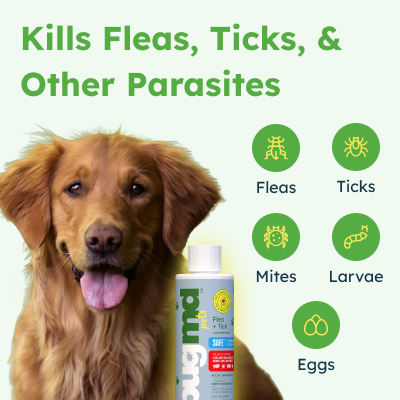 BugMD Flea + Tick Concentrate