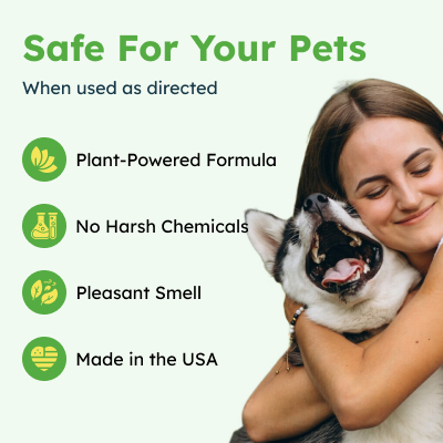 BugMD Flea + Tick Concentrate