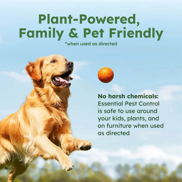 Starter Pack: BugMD Essential Concentrate