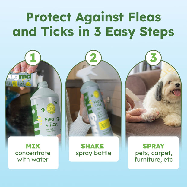 Flea tick control best sale