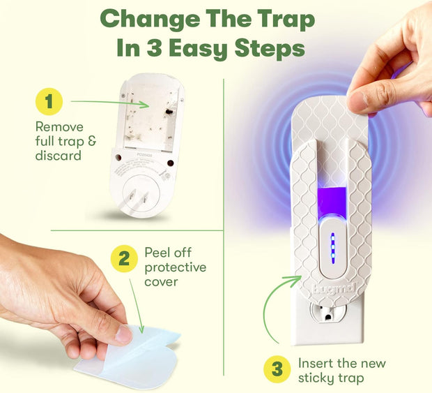 Tampons de recharge No Fly Zone 