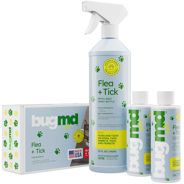 A closer look at Flea And Tick Control Products Without Parabens