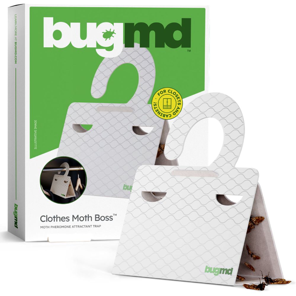 BugMD Clothes Moth Boss  Pheromone PermaGlue Moth Traps – bugmd