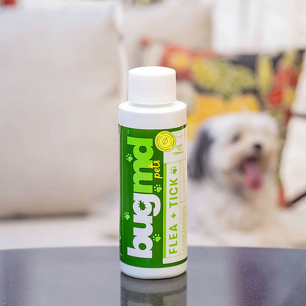 Exclusive Offer of Flea + Tick Concentrate