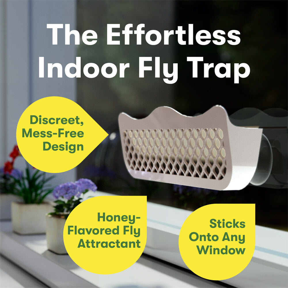 Indoor Fly Traps | Clear Window Fly Traps for Home | for Houseflies, Gnats,  Moths, and Spiders | Easy to Use, Easy to Dispose