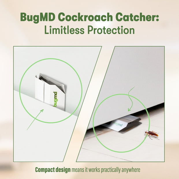 Cockroach Catcher