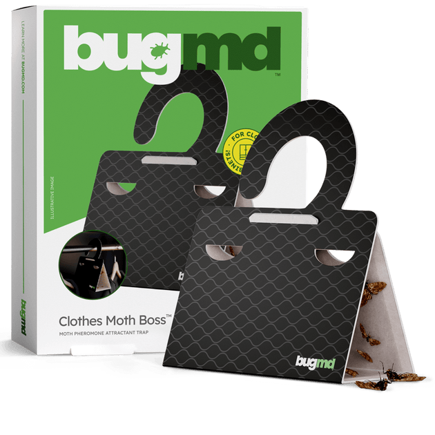 BugMD Clothes Moth Boss Pheromone PermaGlue Moth Traps bugmd