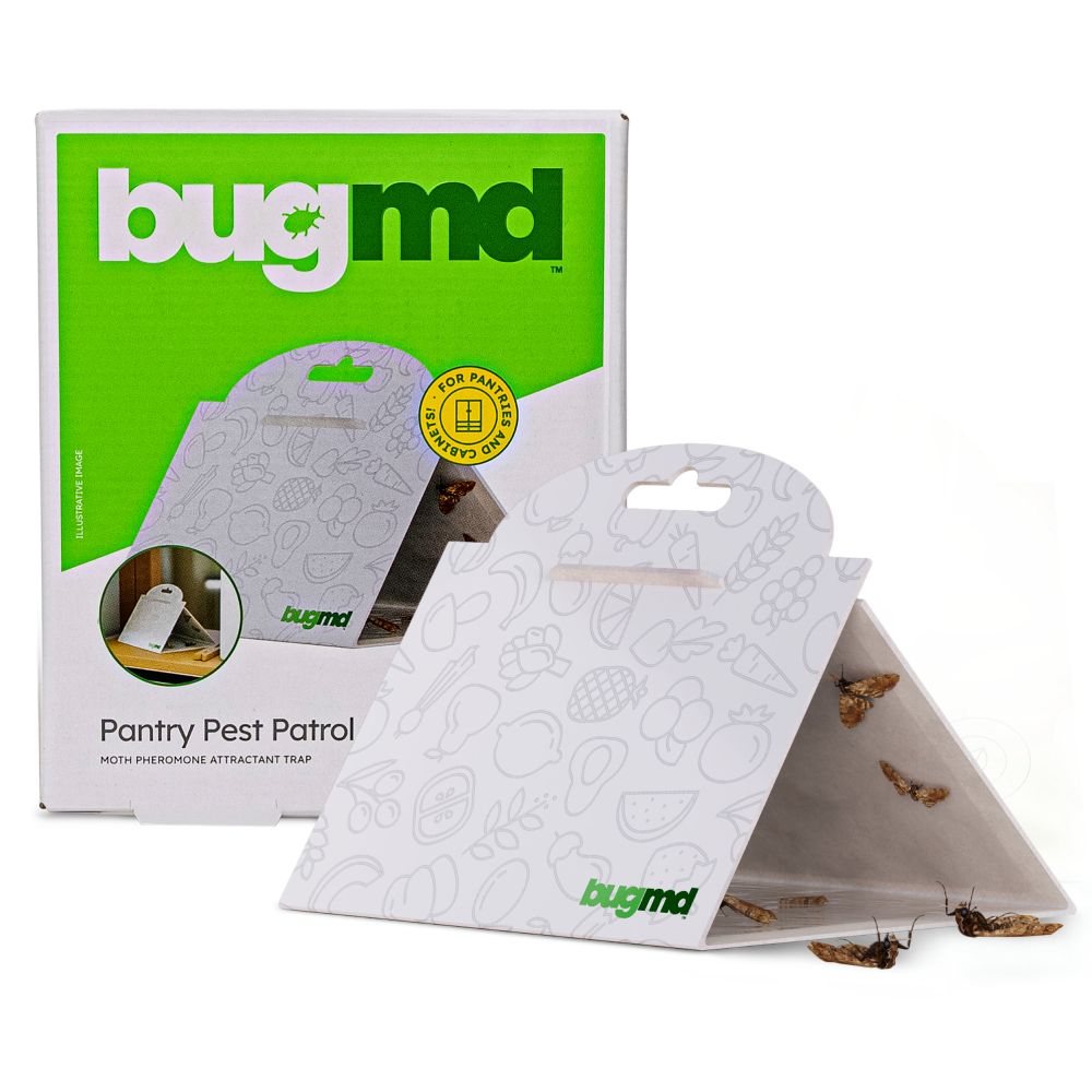 BugMD Clothes Moth Boss Traps - Sticky Glue Bug Repellent Pheromone Attractor for Closets Wardrobes Cabinet Drawers, Moth Balls