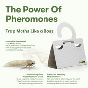 Louie Clothes Moth Traps with Pheromones and Free Cedar Blocks Moth Repellent - Moth Traps for Clothes - Clothing Moth Traps with Pher
