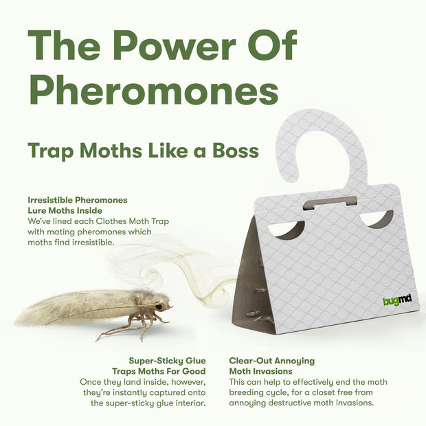 Pest-Stop Clothes Moth Trap