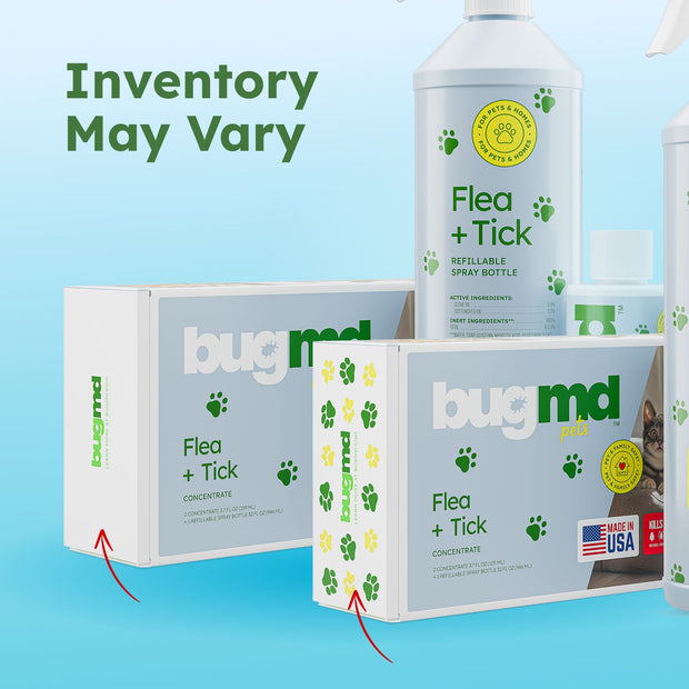 Stunning Flea And Tick Control For Abandoned Properties With High Foot Traffic image