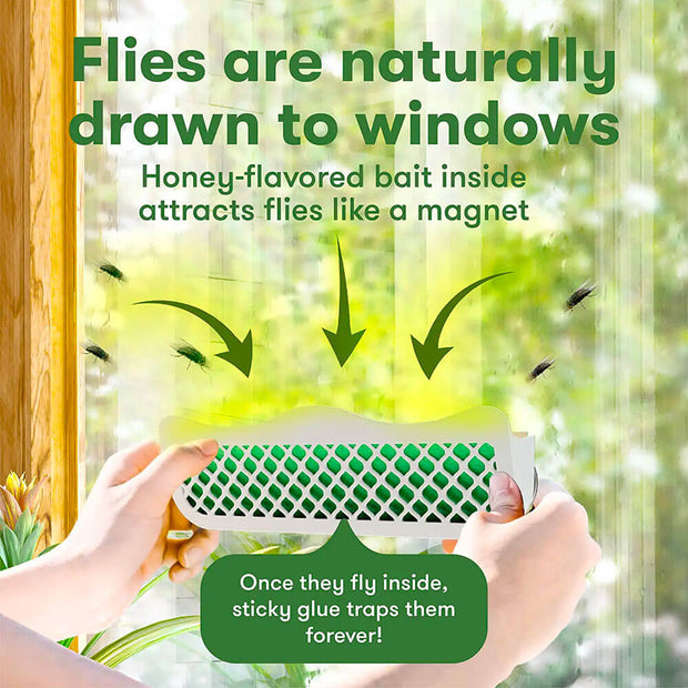 BugMD BarFly + Pièges à mouches pour fenêtre GRATUITS 