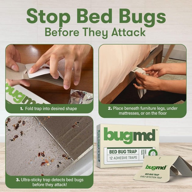 The Bed Bug Traps bugmd