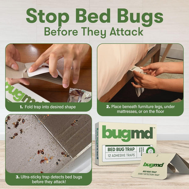 Complete Guide to Bed Bug Traps (+ 3 Best Ones in 2024!)