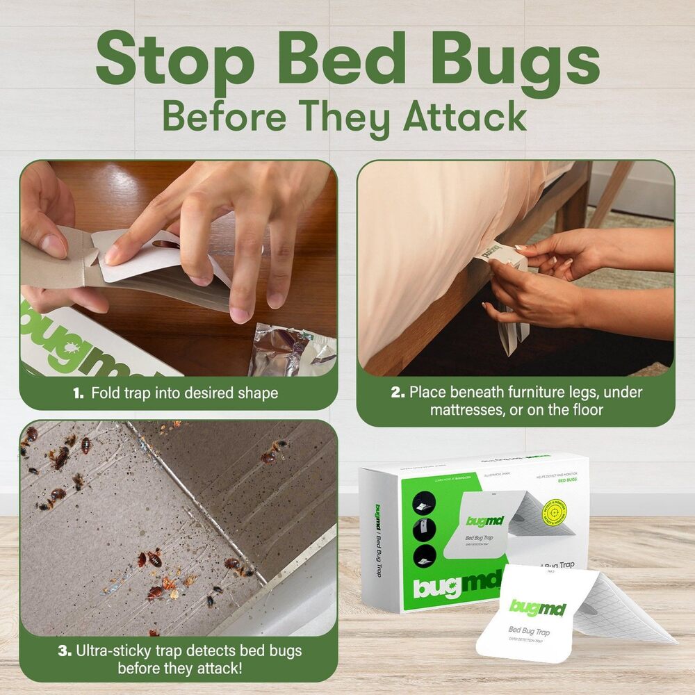bed bug interceptor placement diagram