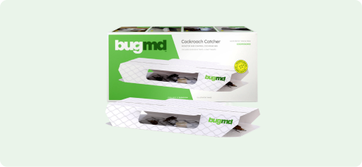 Bug Catcher Sticky Traps — 12-pack