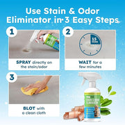 Stain and Odor Eliminator