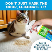 Stain and Odor Eliminator