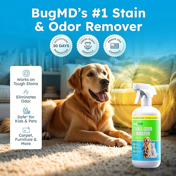 Stain and Odor Eliminator