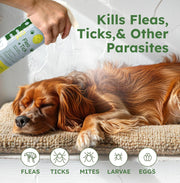 Flea + Tick Control