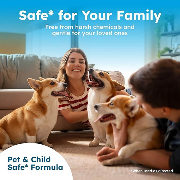 Stain and Odor Eliminator