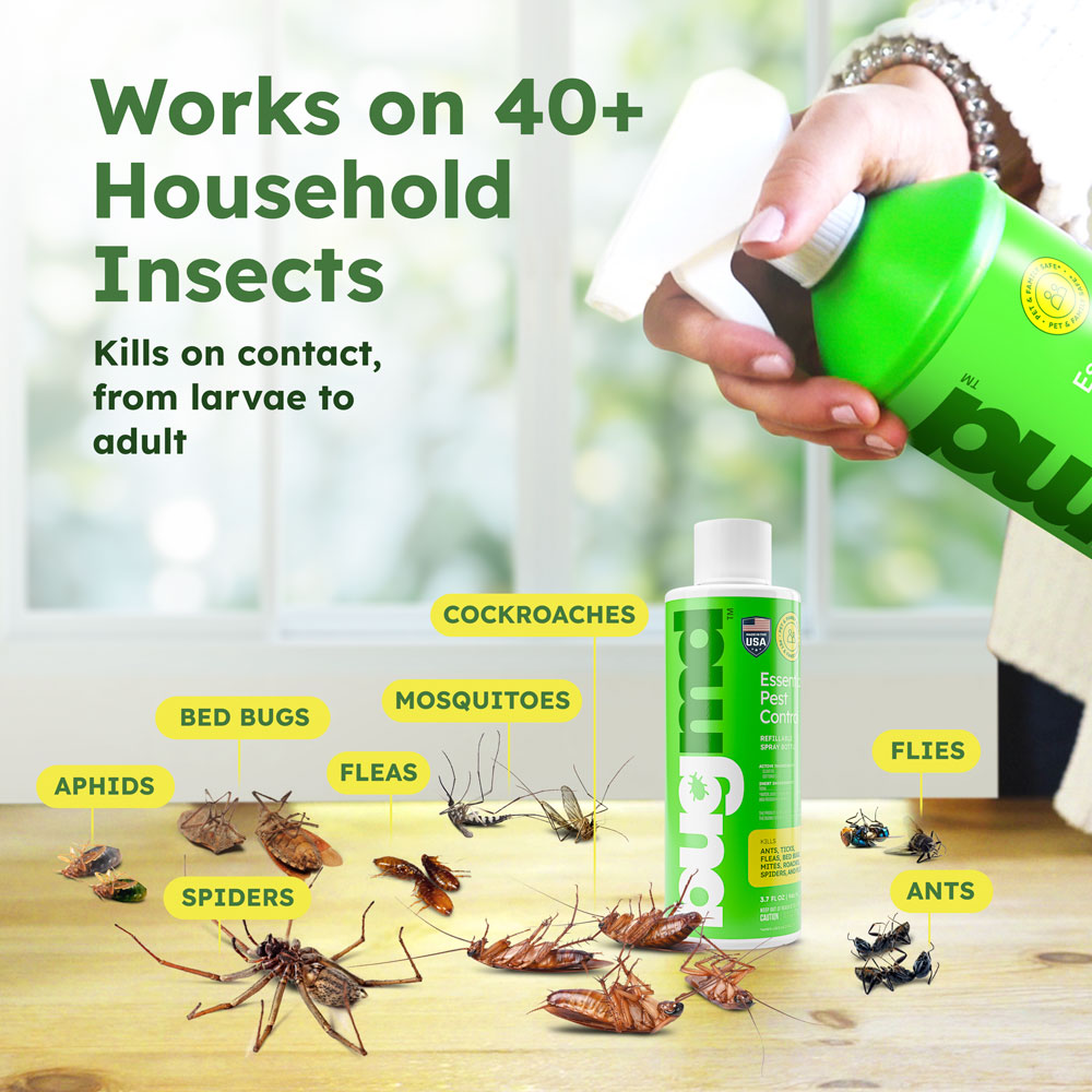 Bug Control Elixir