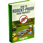 e-BOOK How To Rodent-Proof Your Property