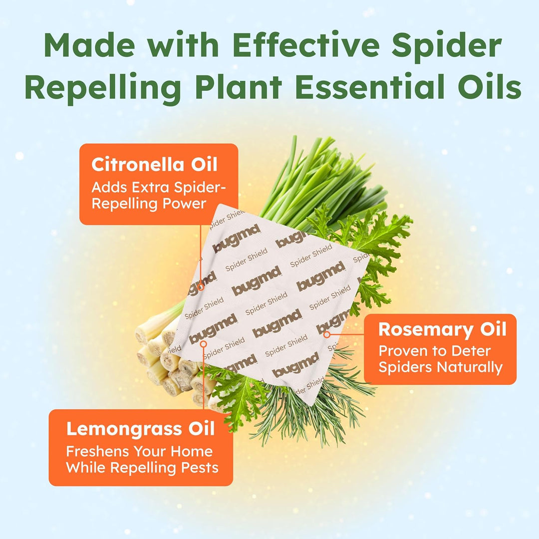 spider repelling plant Spider Shield – BugMD