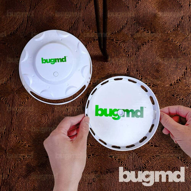 BugMD Bed Bug Trap (2 Pack, 14 Traps) - Bed Bug Prevention, Glue