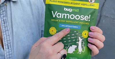Customer photo of Vamoose!
