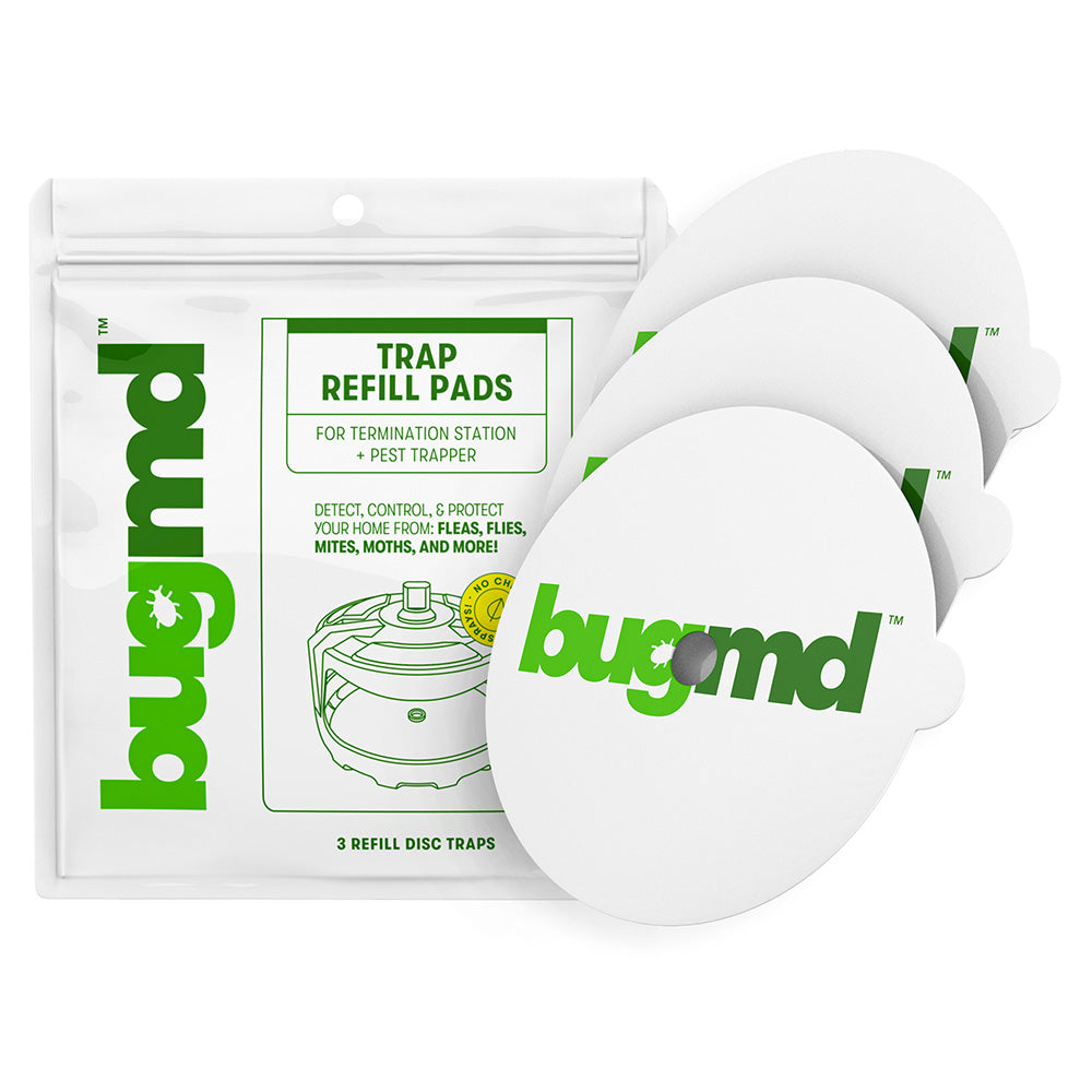 BugMD Bed Bug Trap (1 Pack, 12 Traps) - Interceptors, Bed Bug Prevention,  Glue Traps, Insect Trap Indoor, Bed Bug Sticky Traps