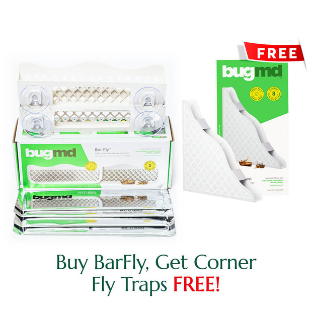 BugMD Barfly - Window Fly Traps (2 Pack) - Window Fly Paper Trap for  Indoor, Window Fly Strips/Tape for Home, Fly Catcher/Control