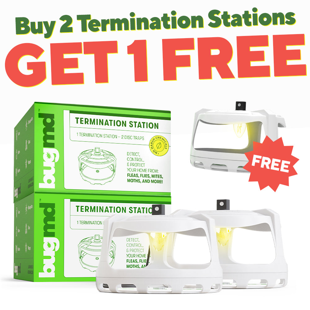 Buy 2 Termination Stations, Get 1 FREE – bugmd
