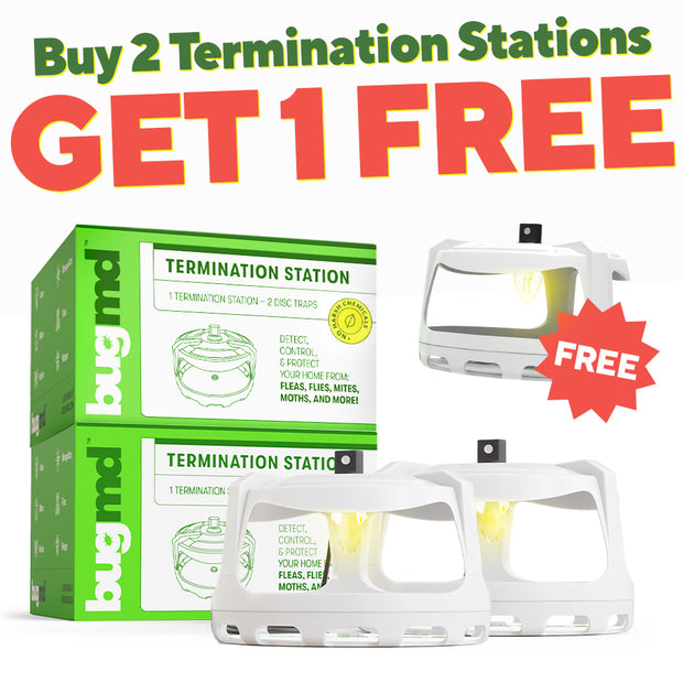 Buy 2 Termination Stations, Get 1 FREE