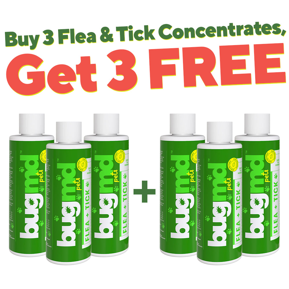  BugMD Flea and Tick Concentrate (3.7 oz, 2 Pack)- Essential  Oil-Powered Formula, Controls Fleas, Ticks, Mites in Dogs, Cats, and Other  Furred Animals, Spray on Pet Beds, Kennels : Pet Supplies