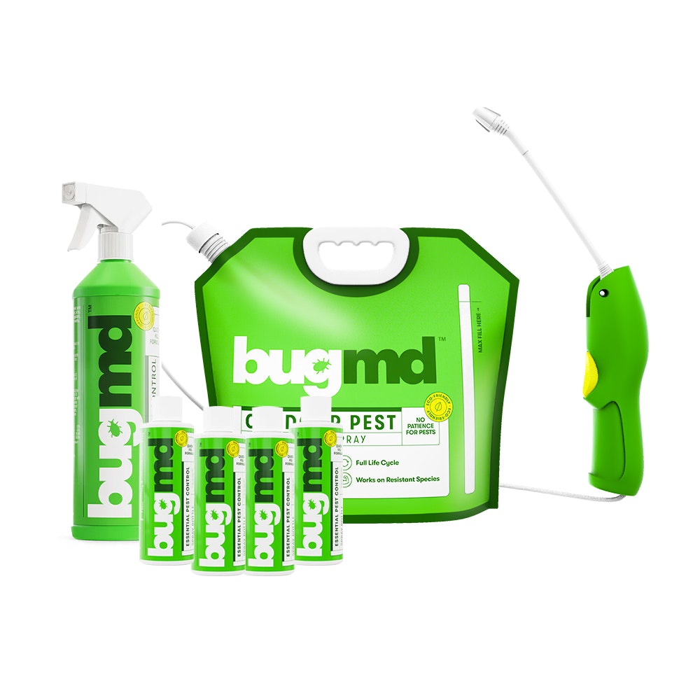 High-Quality Where Can I Buy Bug Md Moment Concept High-Quality Where Can I Buy Bug Md Moment Concept