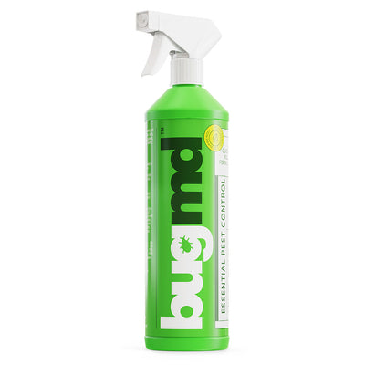 Concentrate Spray Bottle (Empty) - FREE