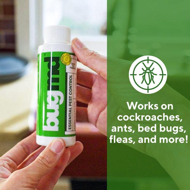 Bed Bug Roach Ant Killer Spray Pest Control Concentrate Bugmd