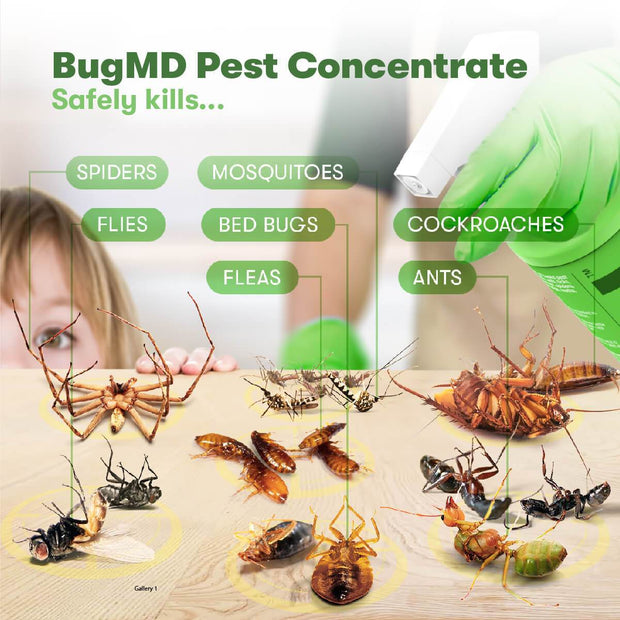  Customer reviews: BugMD - Pest Control Essential Oil  Concentrate 3.7 oz Plant Powered Bug Spray , Kills Bugs Spiders Fleas Ticks  Roaches , Ant Spray Indoor for House, Bed