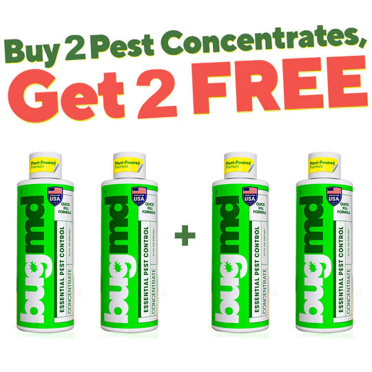 Exclusive Offer of Essential Pest Concentrate