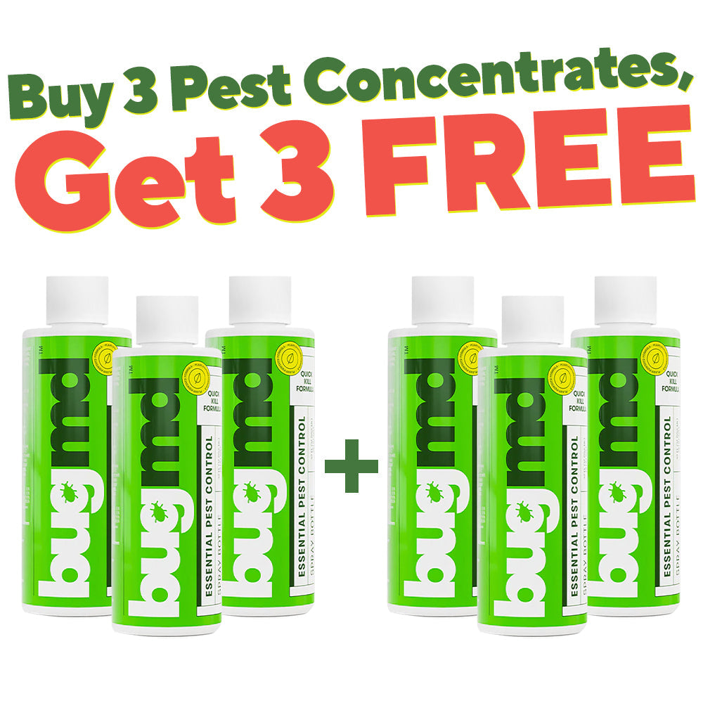 Buy 3 Essential Pest Concentrate, Get 3 FREE – BugMD