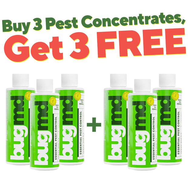 Buy 3 Essential Pest Concentrate, Get 3 FREE