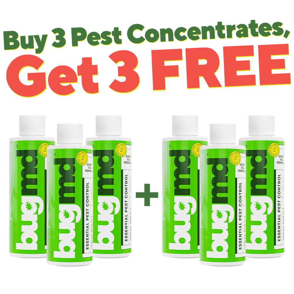  Customer reviews: BugMD Pest Control Essential Oil Concentrate  3.7 oz (2-Pack), Plant-Powered Bug Spray Quick Kills Flies, Ants, Fleas,  Ticks, Roaches, Mosquitoes
